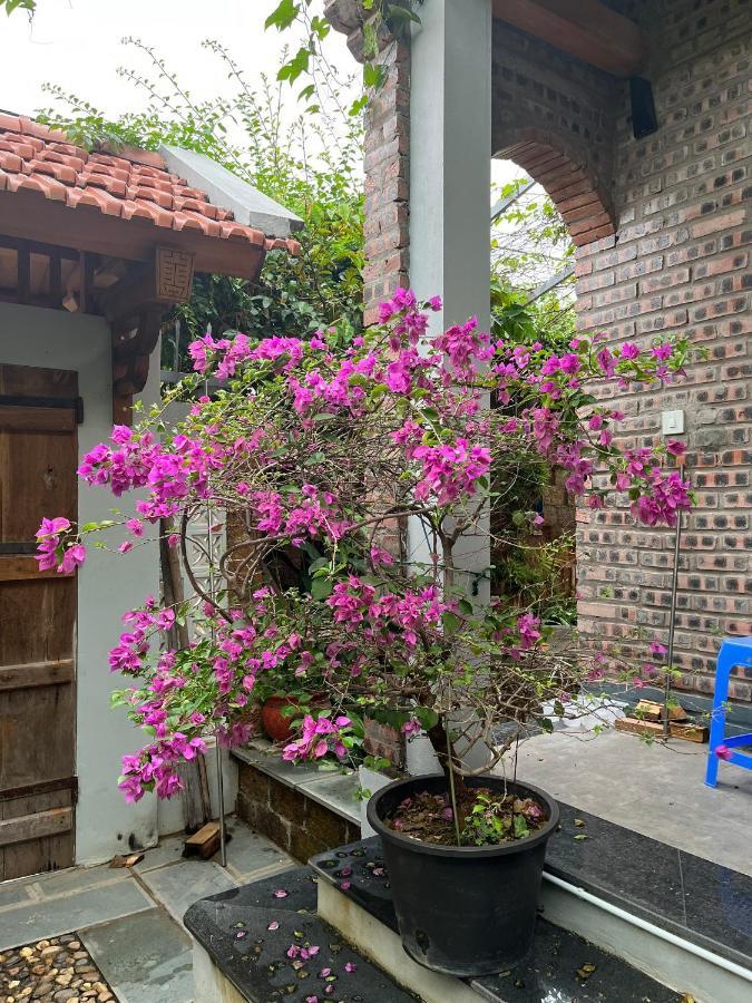 Duong Lam Village Son Tay Екстер'єр фото